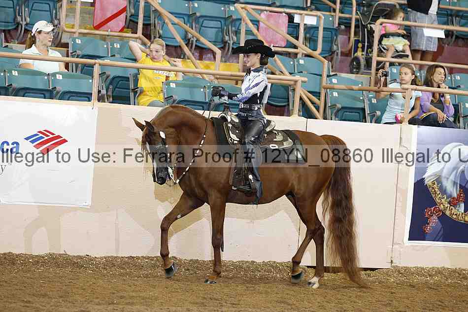 Proof 12yn_08860