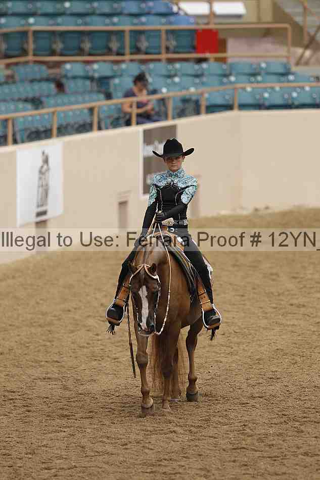 Proof 12yn_08862