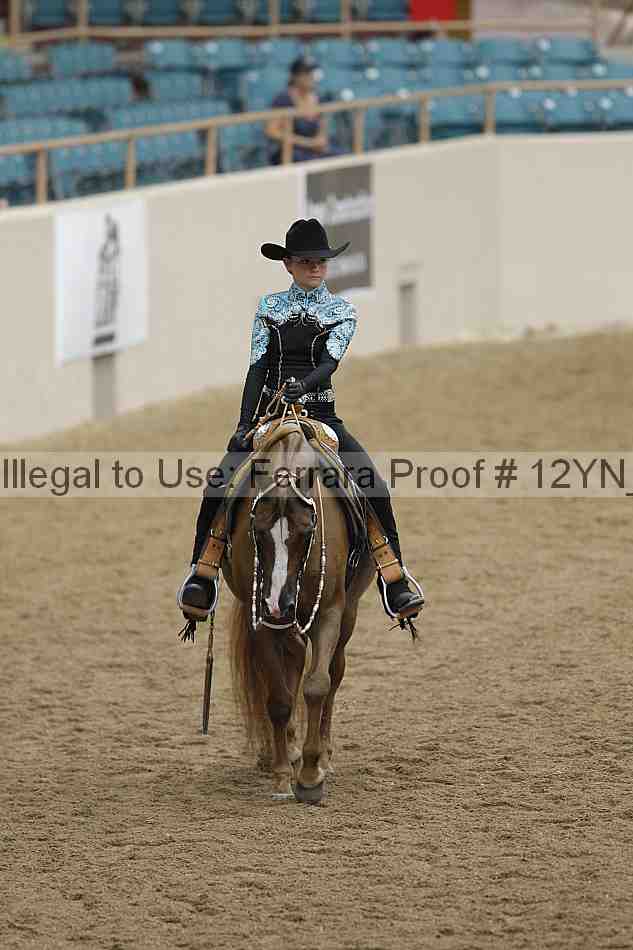 Proof 12yn_08864