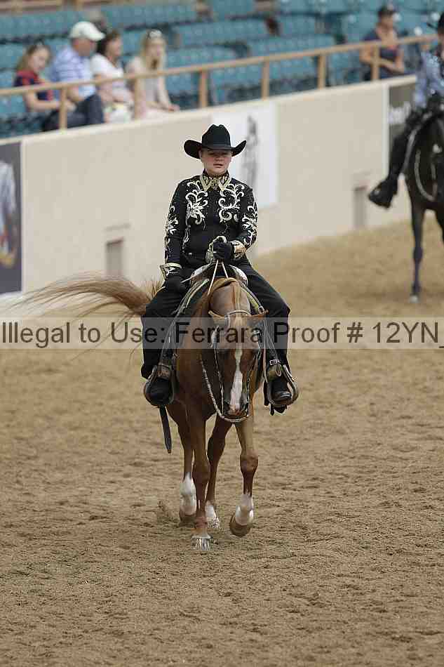 Proof 12yn_08869