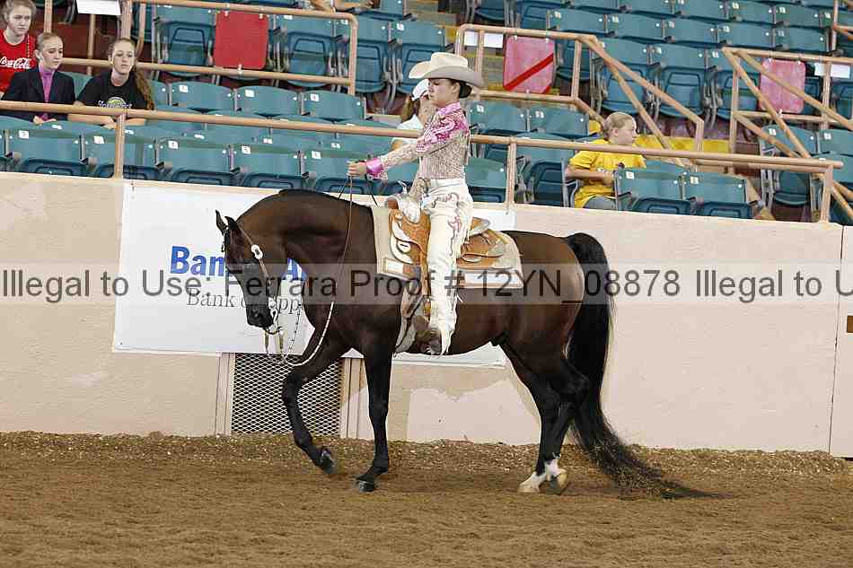 Proof 12yn_08878