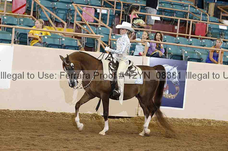 Proof 12yn_08881