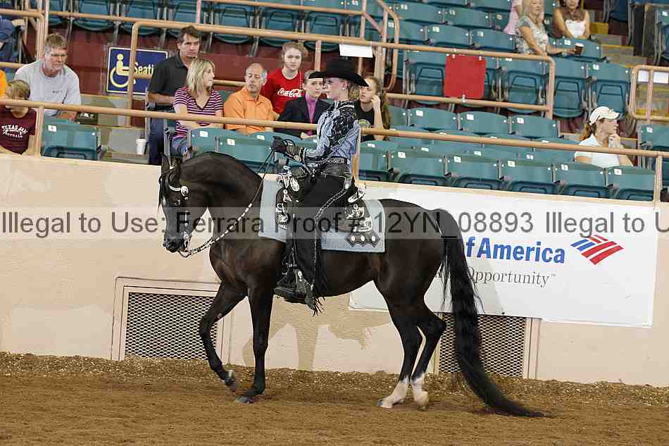 Proof 12yn_08893