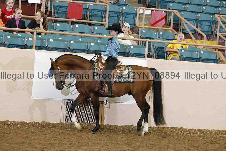 Proof 12yn_08894