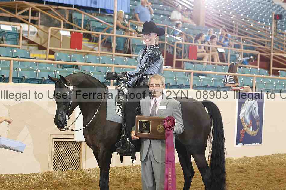 Proof 12yn_08903