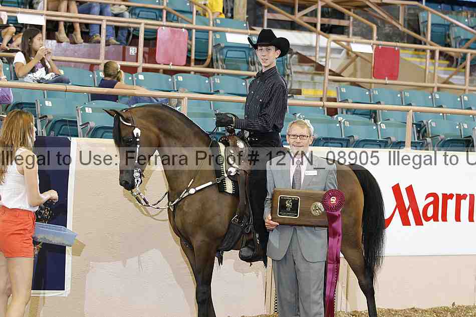 Proof 12yn_08905