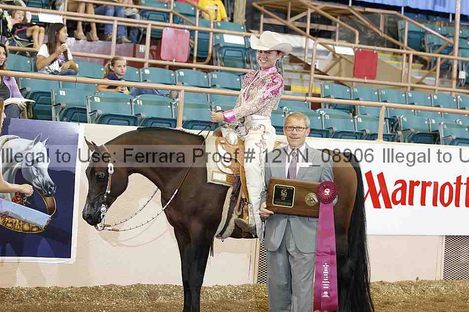 Proof 12yn_08906