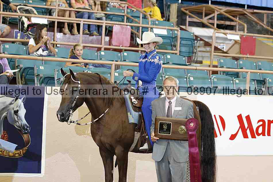 Proof 12yn_08907