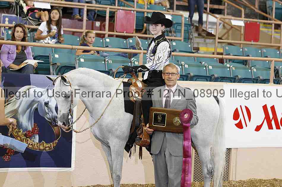 Proof 12yn_08909