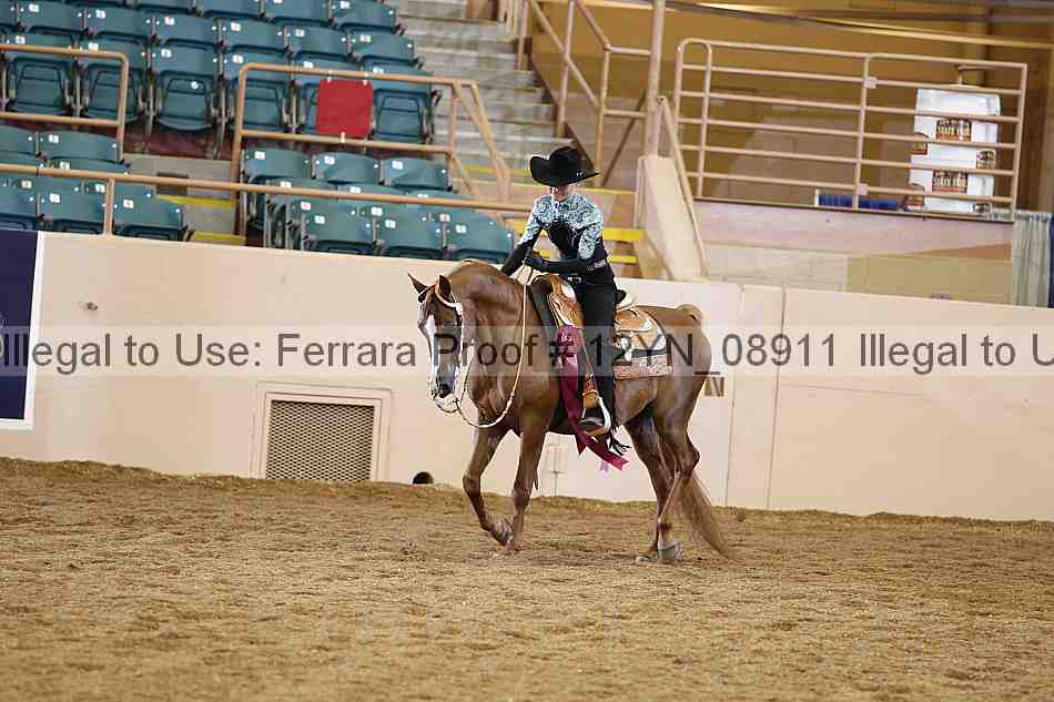 Proof 12yn_08911