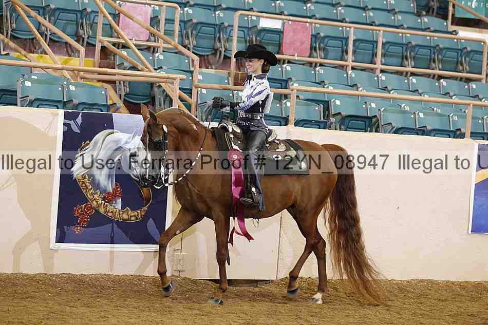 Proof 12yn_08947