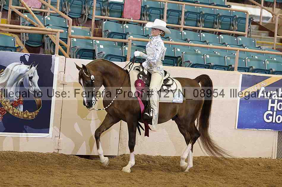 Proof 12yn_08954