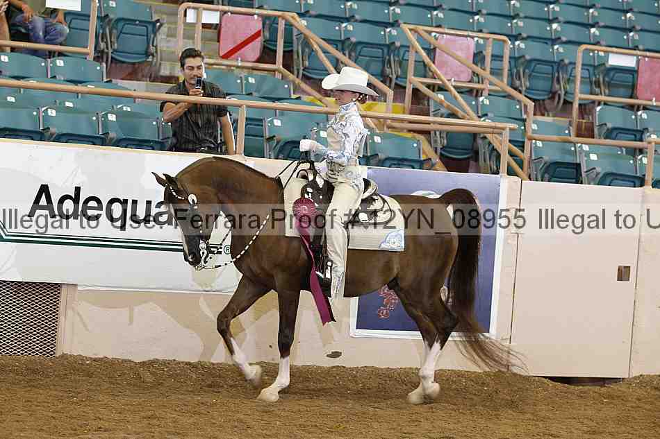 Proof 12yn_08955