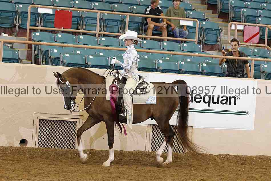 Proof 12yn_08957