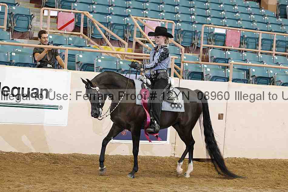 Proof 12yn_08960