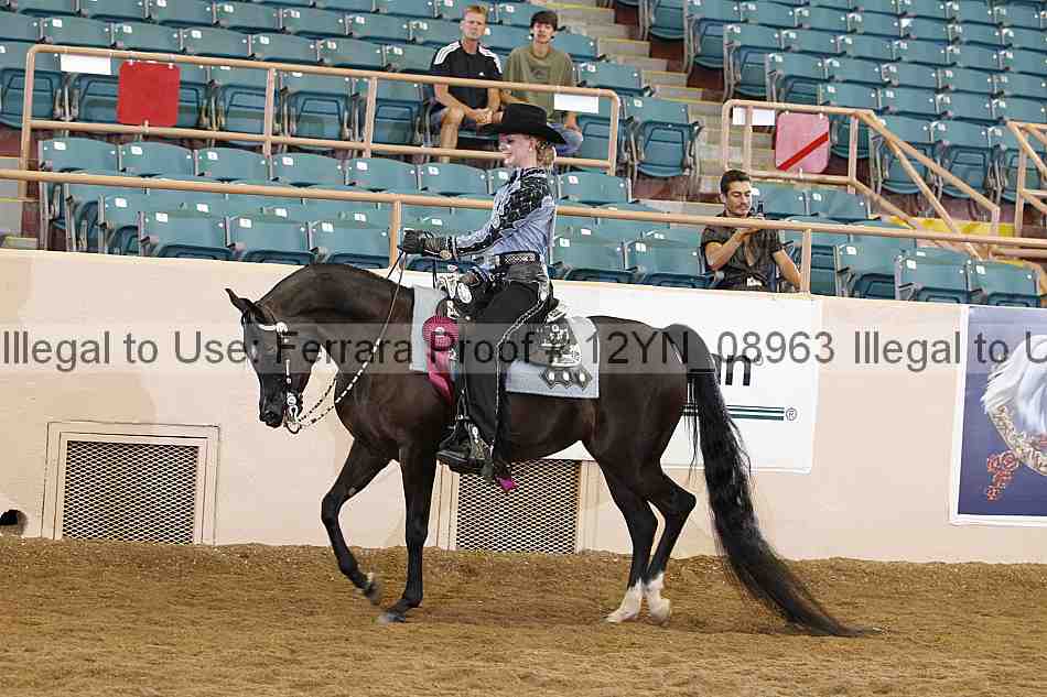 Proof 12yn_08963