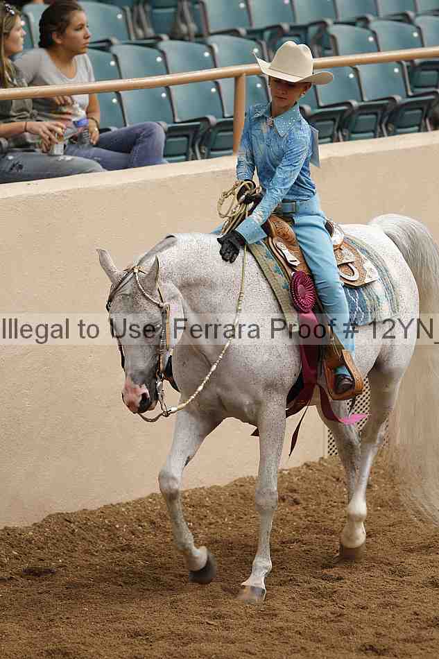 Proof 12yn_08964
