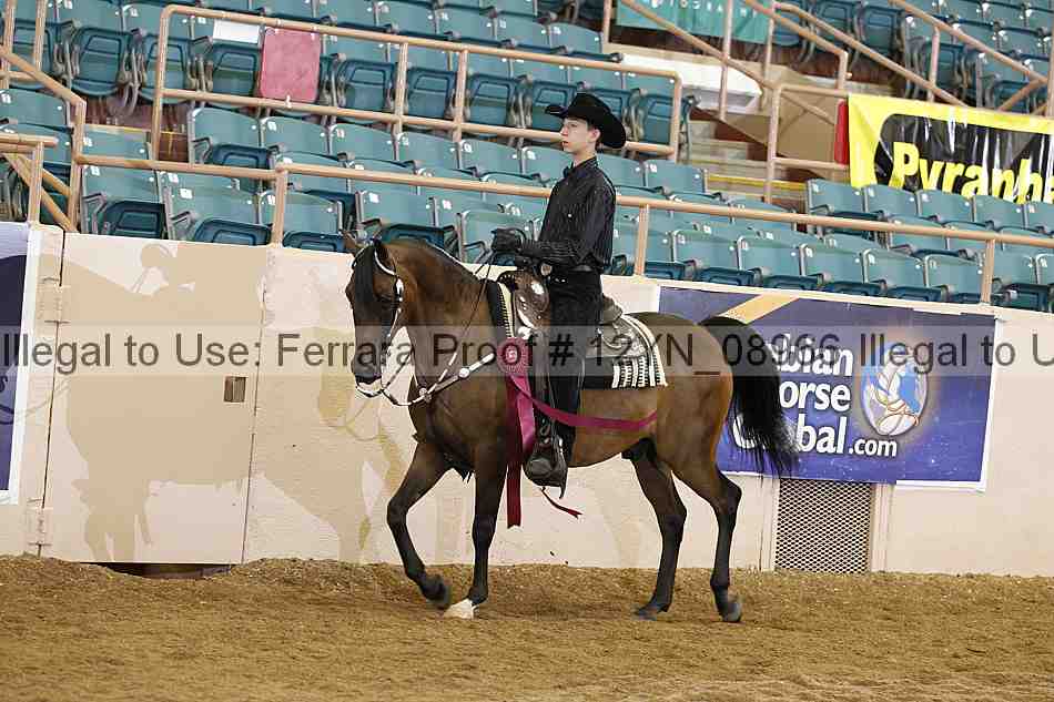 Proof 12yn_08966