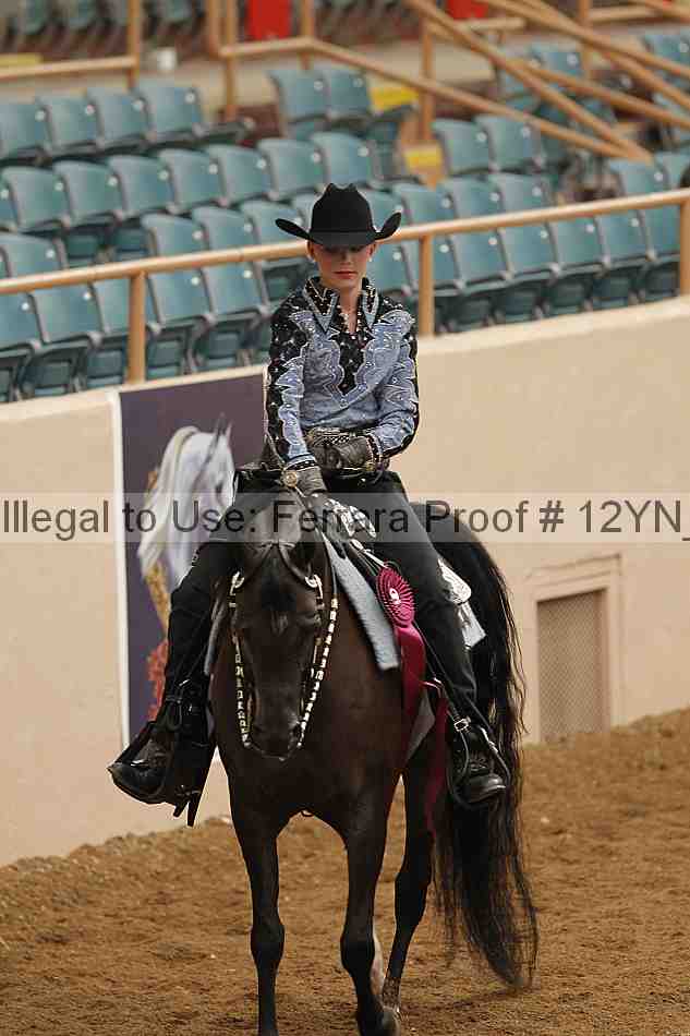 Proof 12yn_08975
