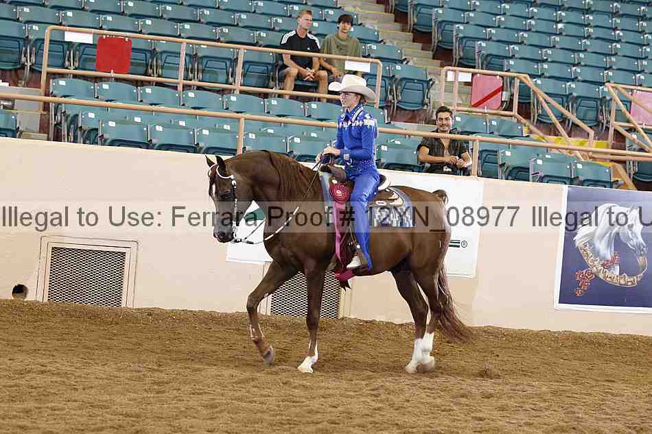 Proof 12yn_08977