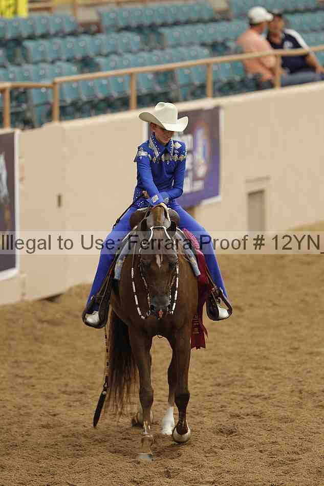 Proof 12yn_08985