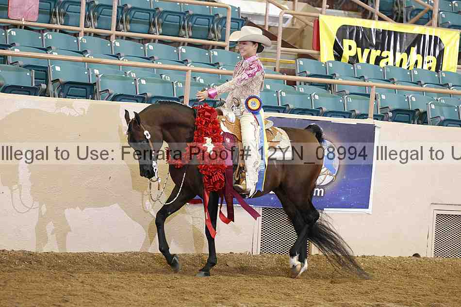 Proof 12yn_08994