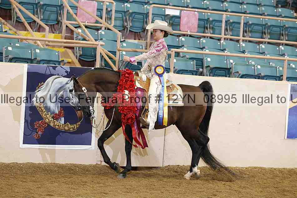 Proof 12yn_08995