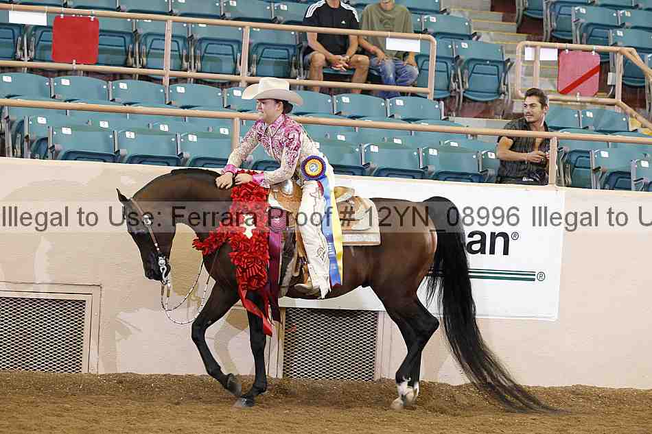 Proof 12yn_08996