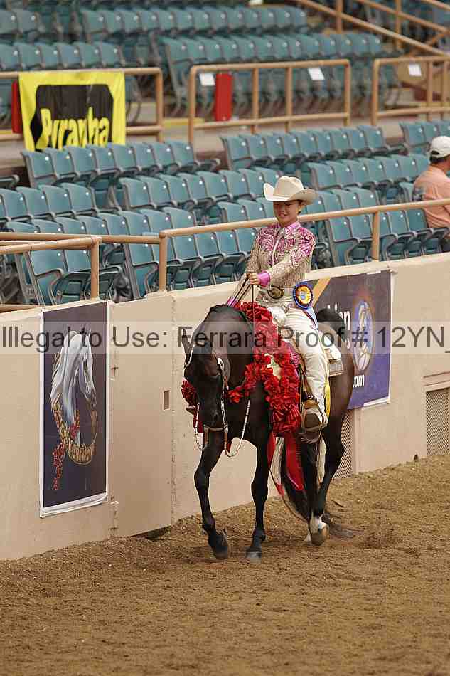 Proof 12yn_09003