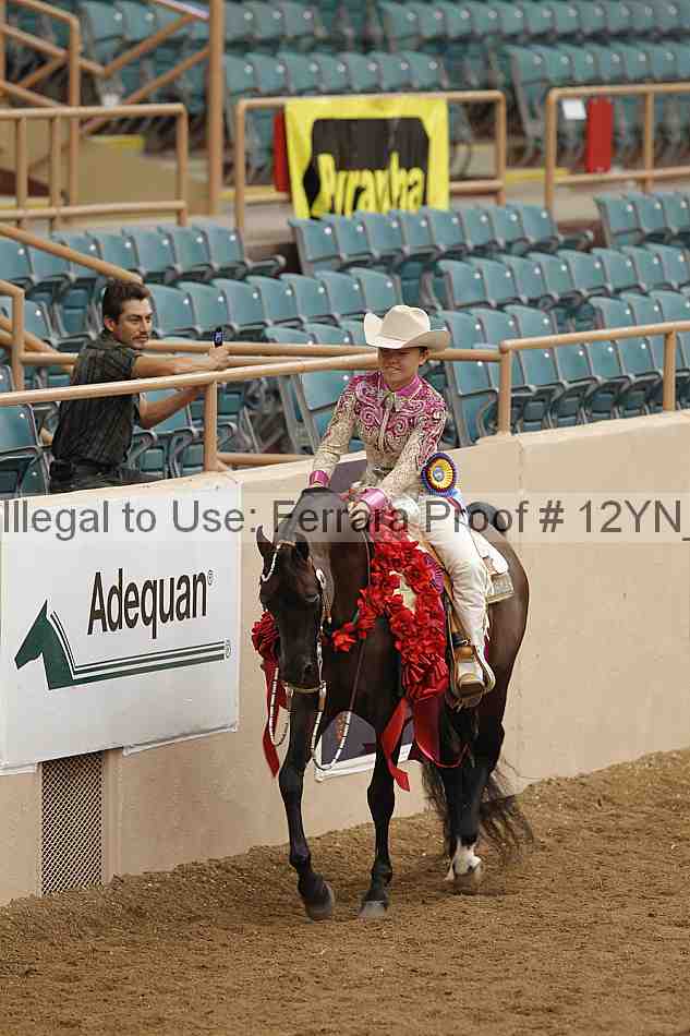 Proof 12yn_09004