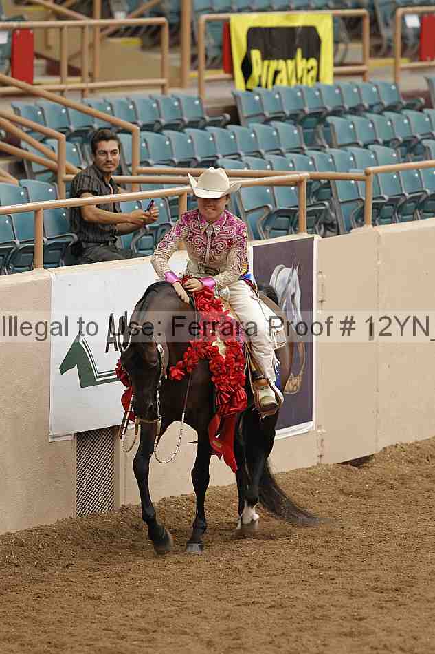 Proof 12yn_09005