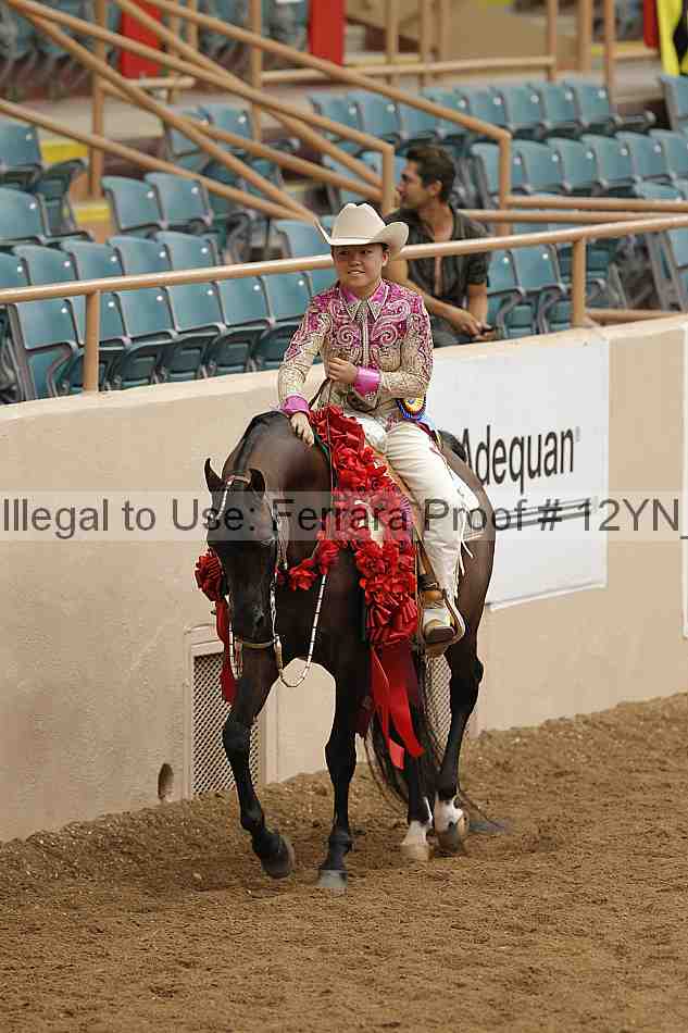 Proof 12yn_09006