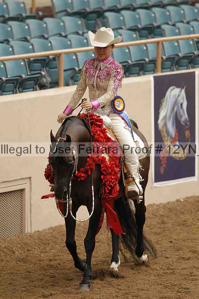 Proof 12yn_09009
