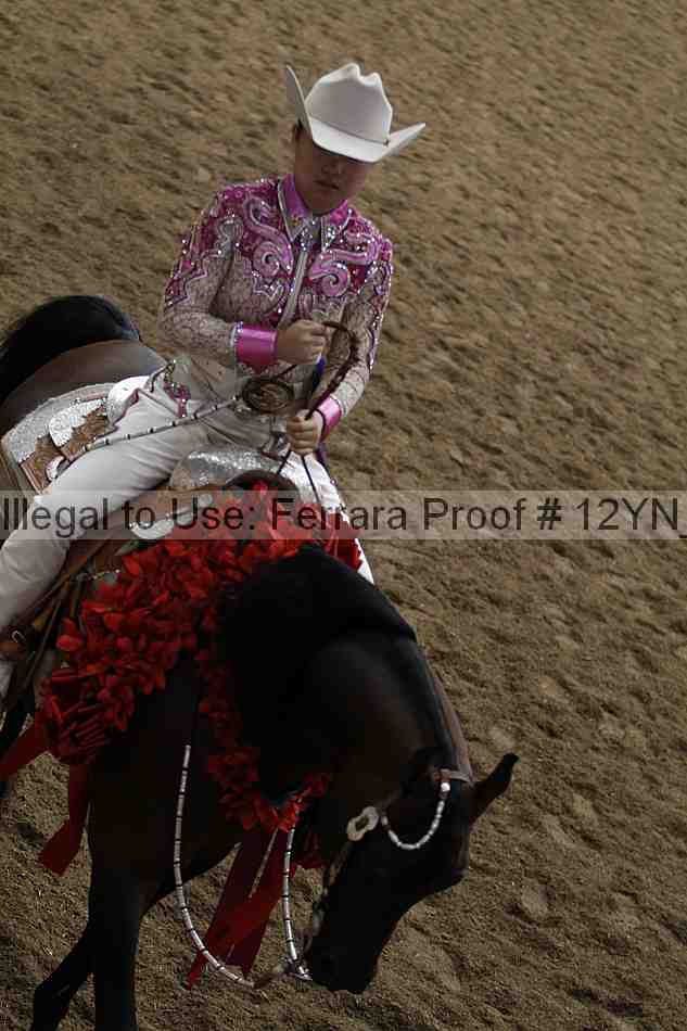 Proof 12yn_09010