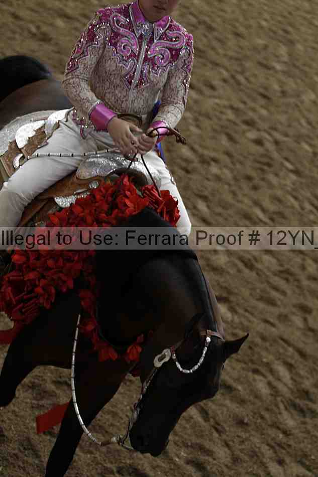 Proof 12yn_09011