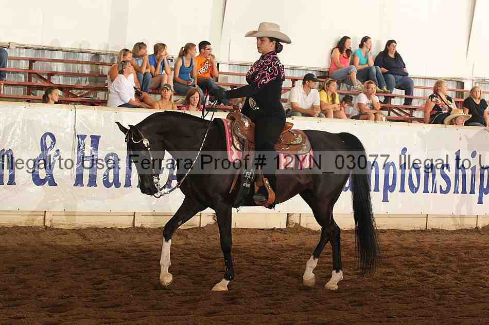 Proof 12yn_03077