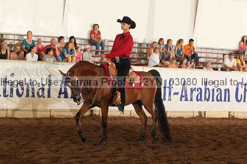 Proof 12yn_03080