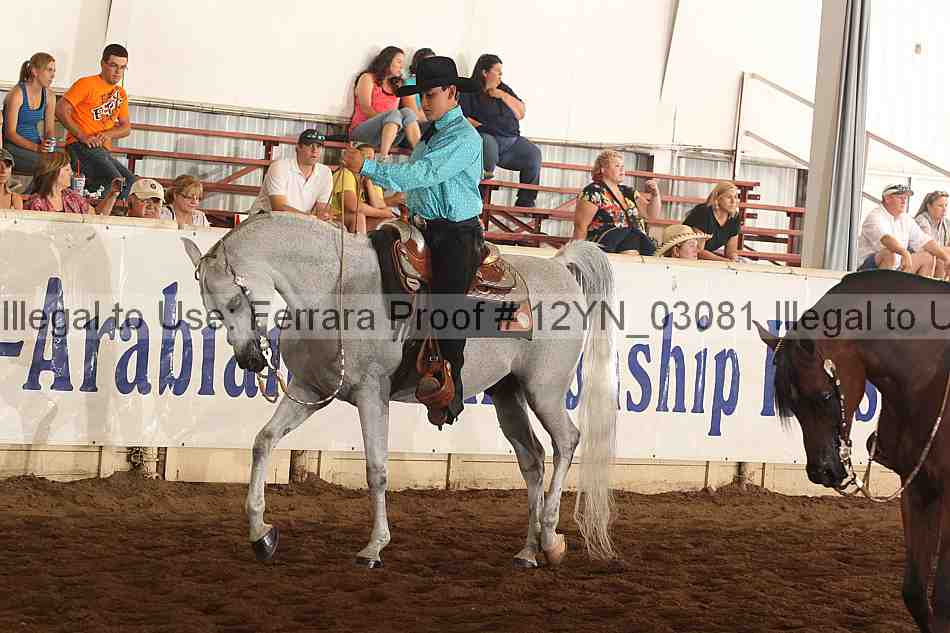 Proof 12yn_03081