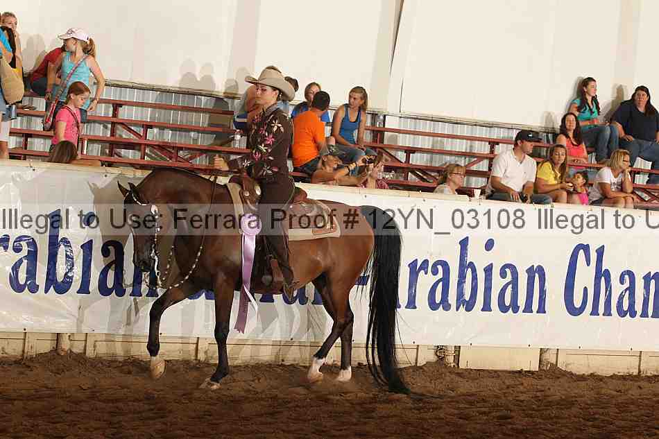 Proof 12yn_03108