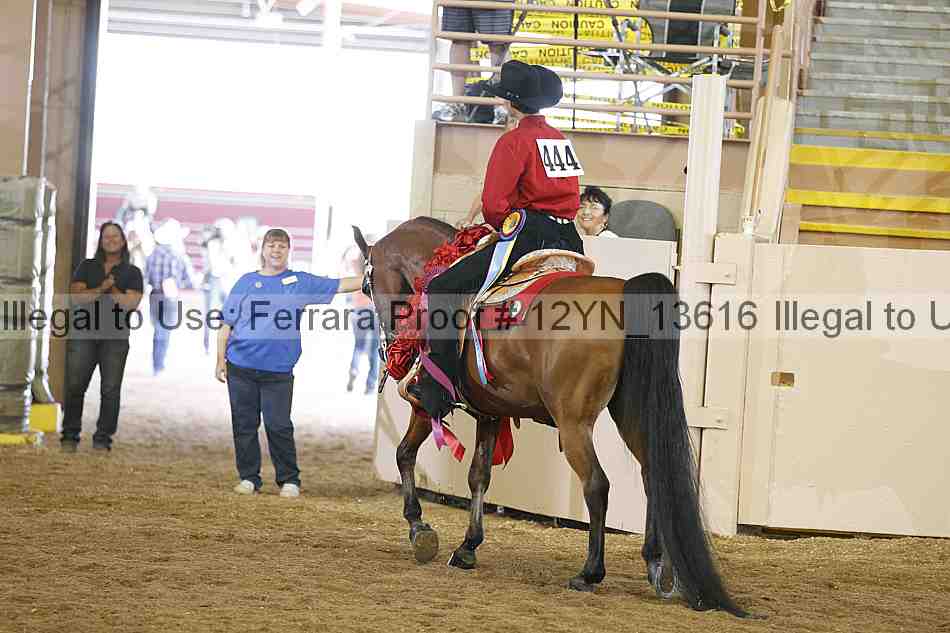 Proof 12yn_13616
