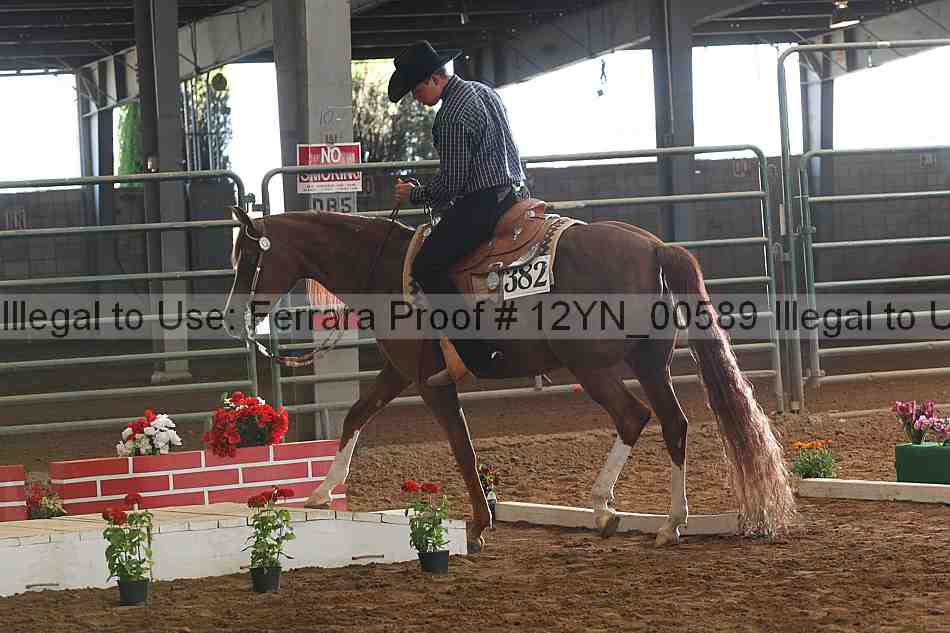 Proof 12yn_00589