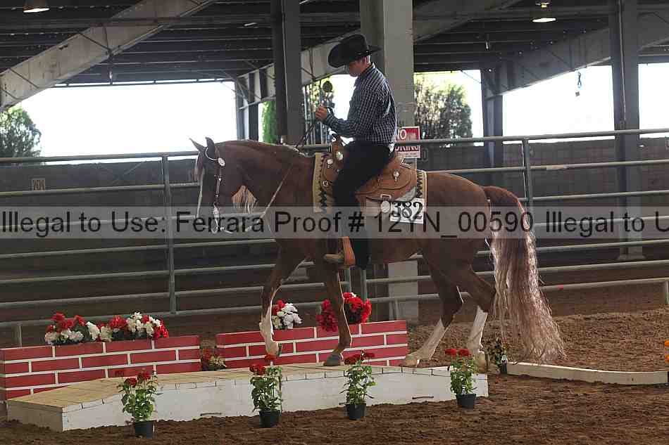 Proof 12yn_00590