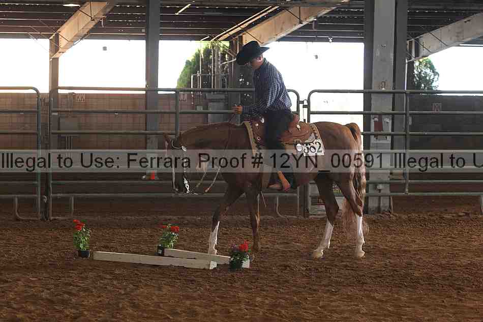Proof 12yn_00591