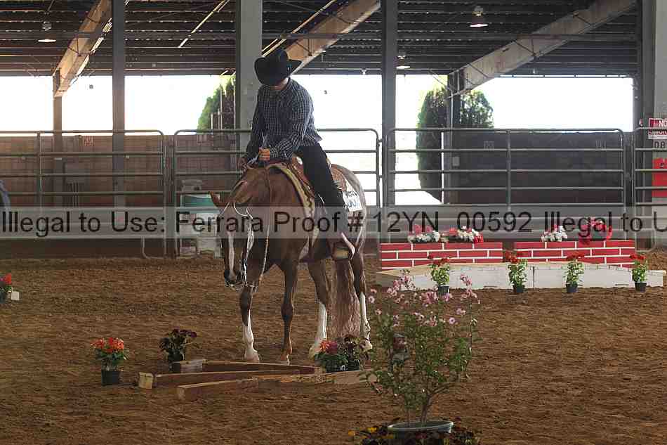 Proof 12yn_00592