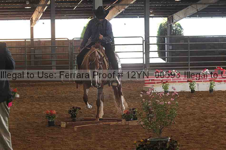Proof 12yn_00593