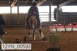 12yn_00593 proof