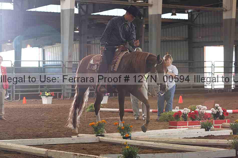 Proof 12yn_00594