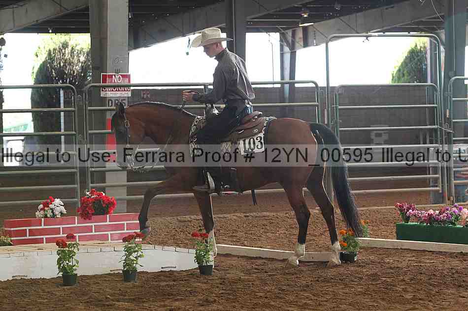 Proof 12yn_00595