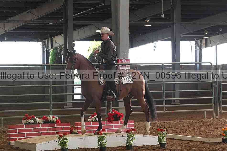 Proof 12yn_00596