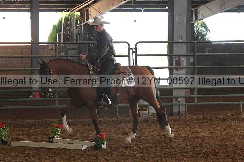 Proof 12yn_00597